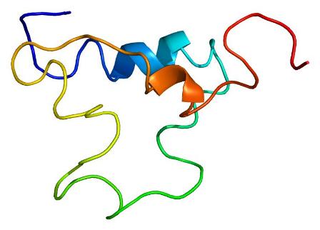 Molecular structure of IGF-1